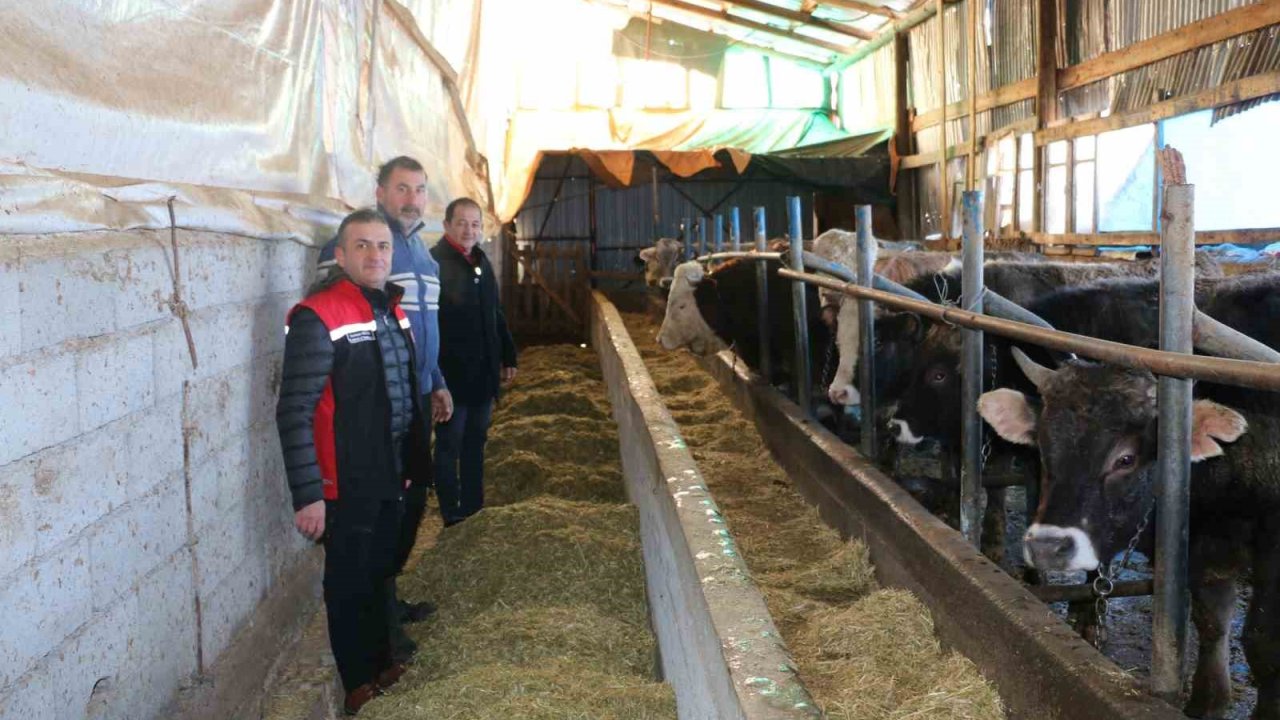 Erzincan’da aile hayvancılık işletmeleri ziyaret edildi