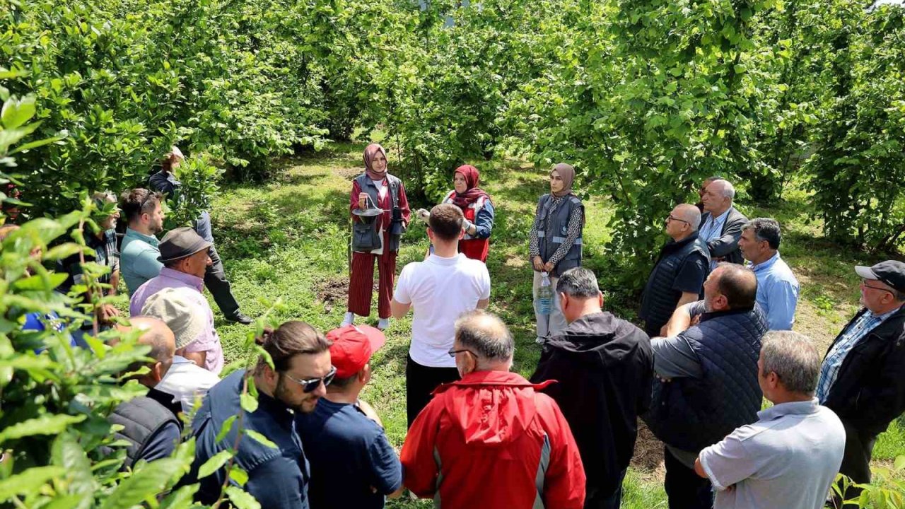 Büyükşehir’in 2025 tarım raporu: 810 noktada toprak analizi yapıldı