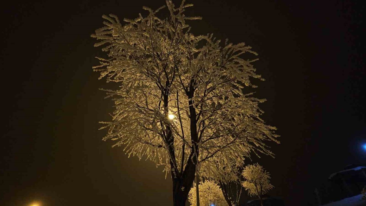 Elazığ’da ağaçlar kırağı tuttu