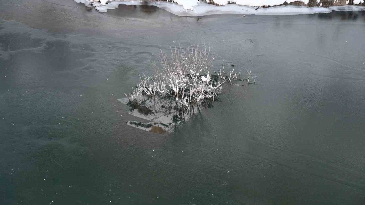 Soğuk hava Habur Çayı’nı dondurdu