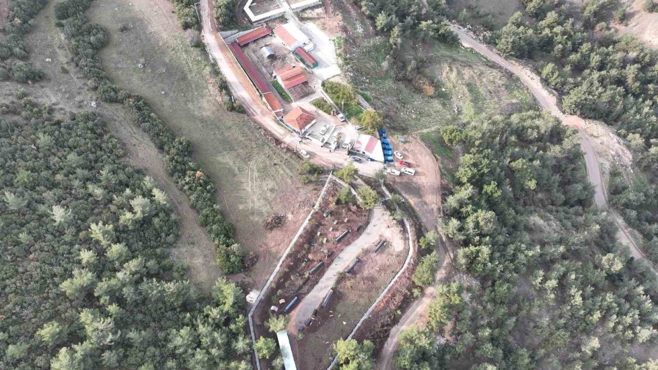 Bilecik’te can dostlar emin ellerde