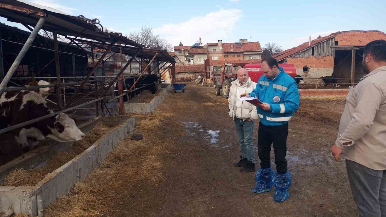Kütahya’da hayvancılık işletmelerine yönelik kapasite tespiti sürüyor