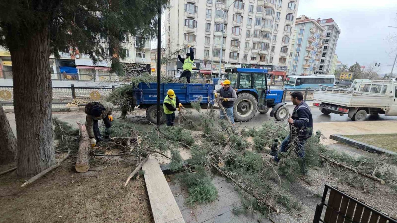 Kütahya’da fırtına ve aşırı rüzgâr ağaçları devirdi
