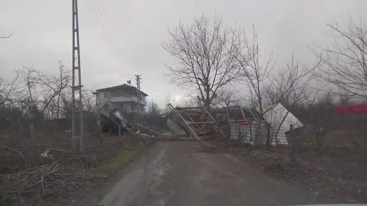 Şiddetli rüzgar ortalığı savaş alanına çevirdi: Yıkılan ağaçlar ve baraka yolu kapattı