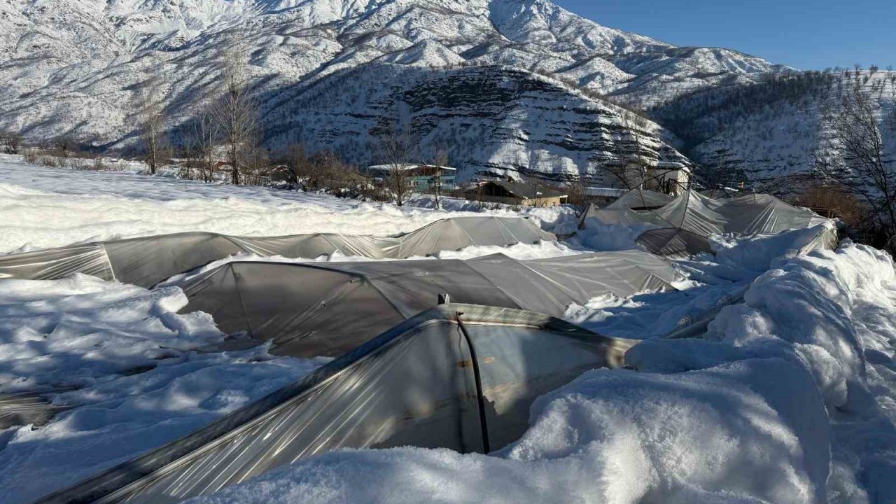 Derecik’te kardan dolayı 38 sera zara gördü