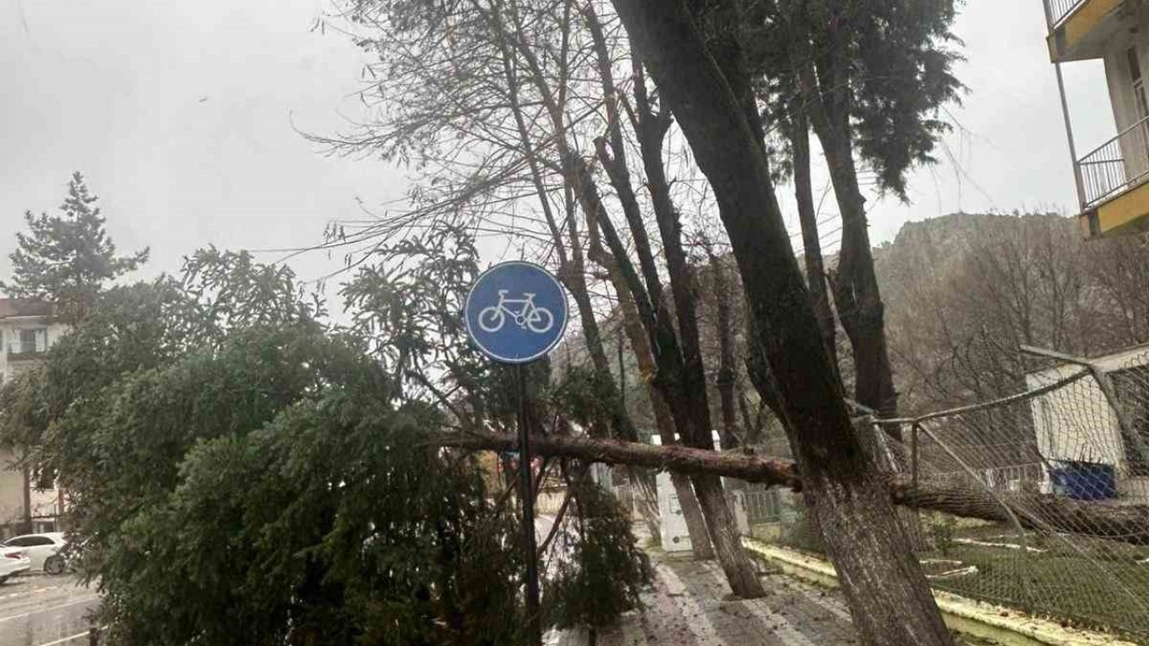 Dursunbey’de fırtına ağaçları ve çatıları uçurdu