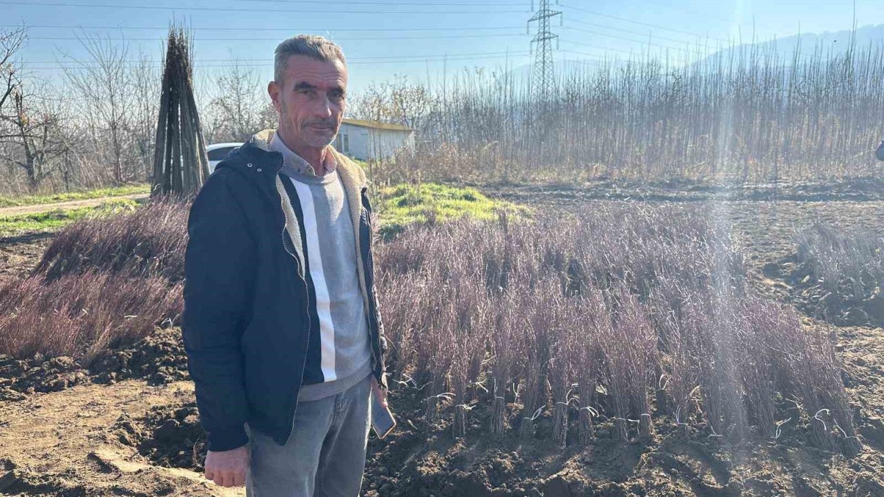 Kurulan her meyve bahçesinde "Bursa" imzası var