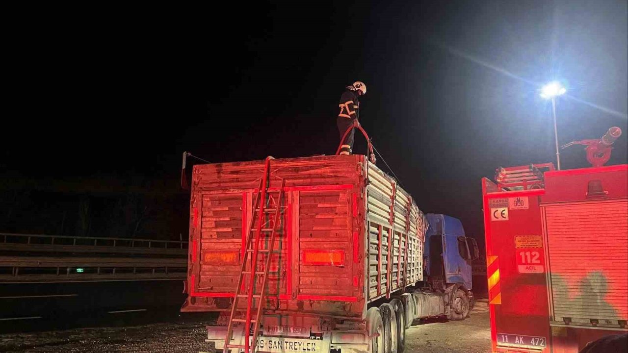 Bilecik’te seyir halinde talaş yüklü tır dorsesi alev aldı