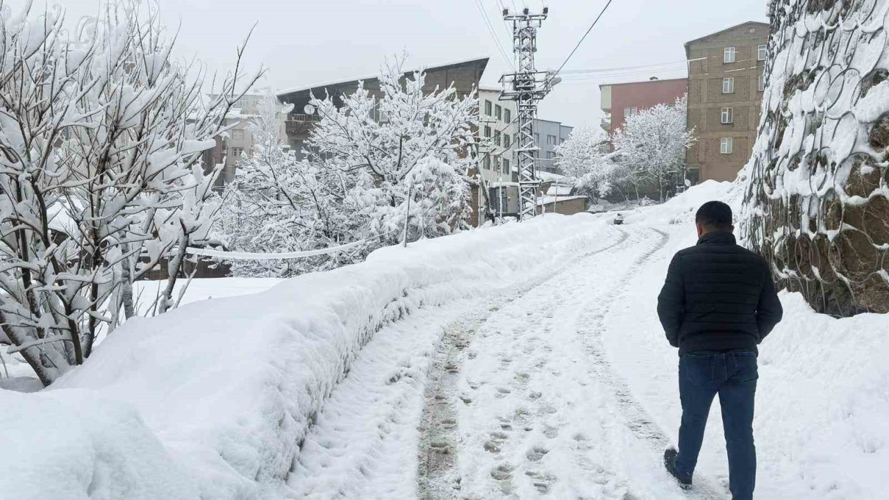 Hakkari’de 310 yerleşim yeri ulaşıma açıldı