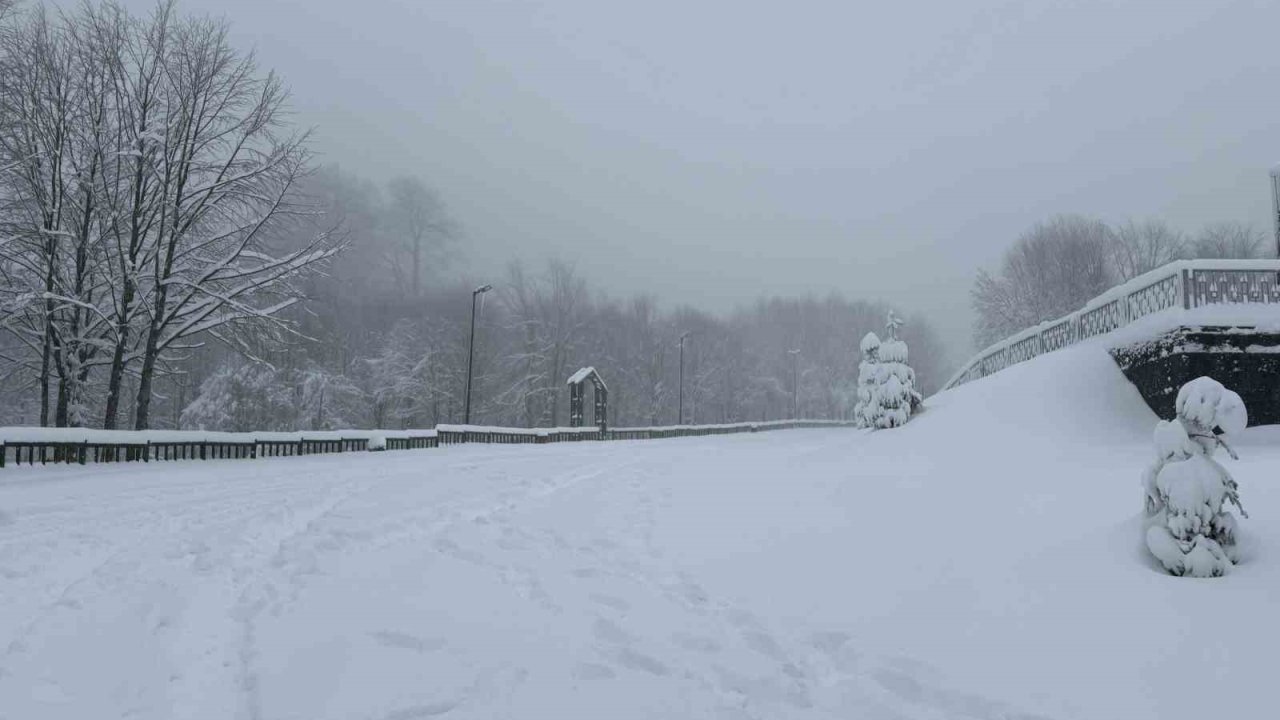 Kocaeli’nin yüksek kesimlerine lapa lapa kar yağıyor