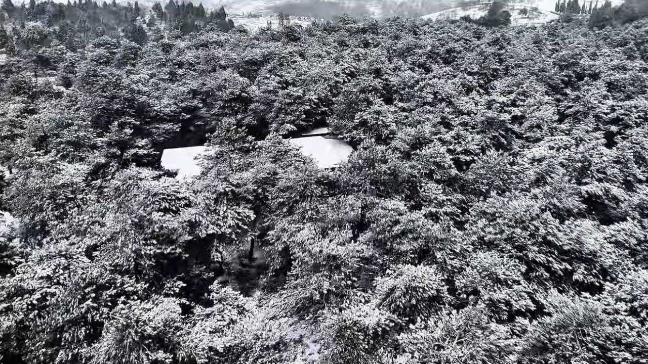 Başakşehir Şamlar Tabiat Parkı beyaza büründü