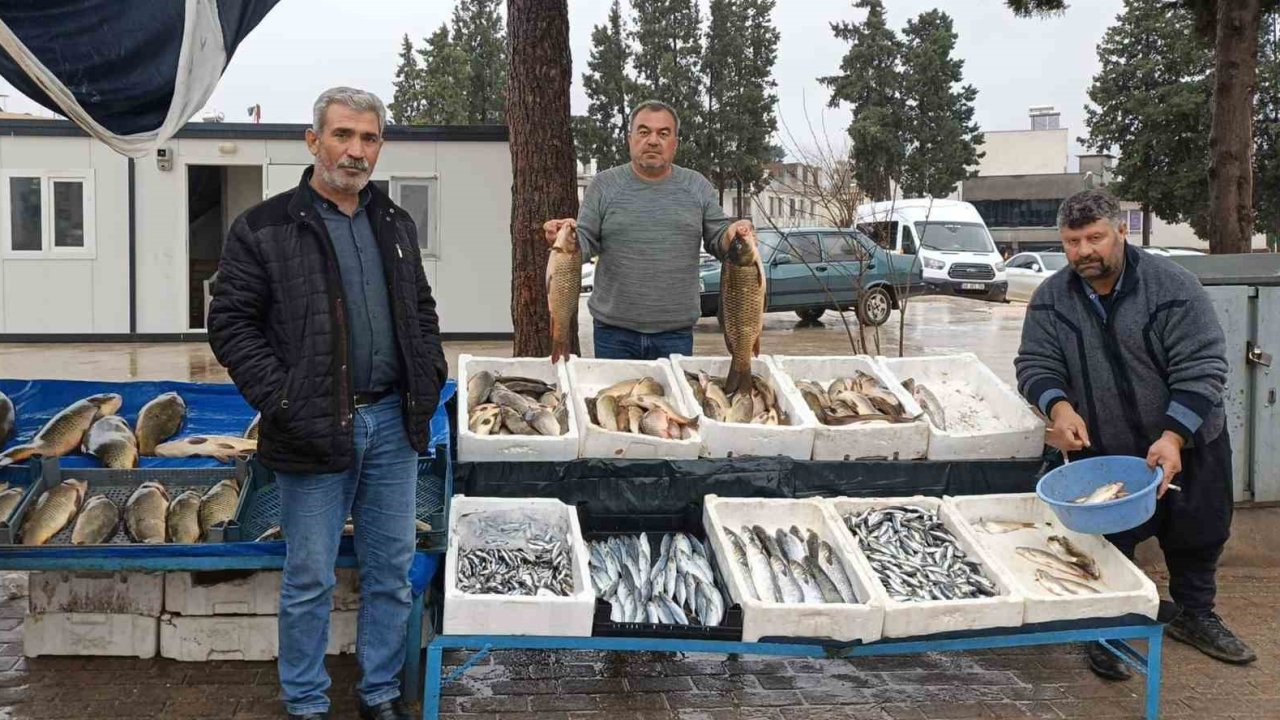 Araban’da soğuk hava balığa talebi artırdı