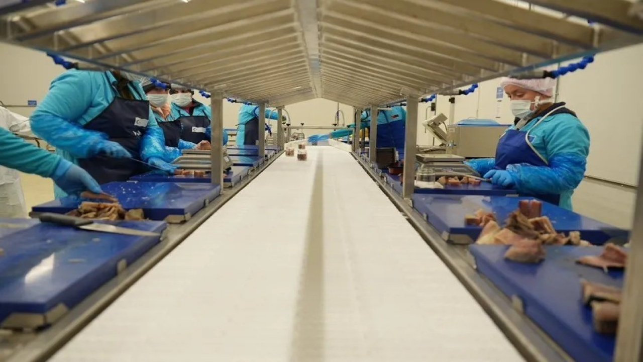 Sinop 2025’te ihracatta vites yükseltti