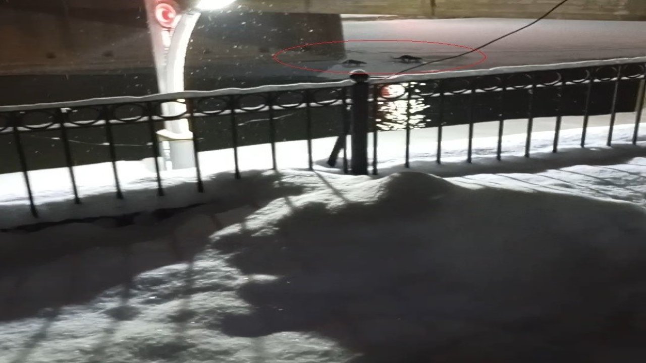 Bayburt’ta su samuru bu kez eşiyle birlikte görüntülendi