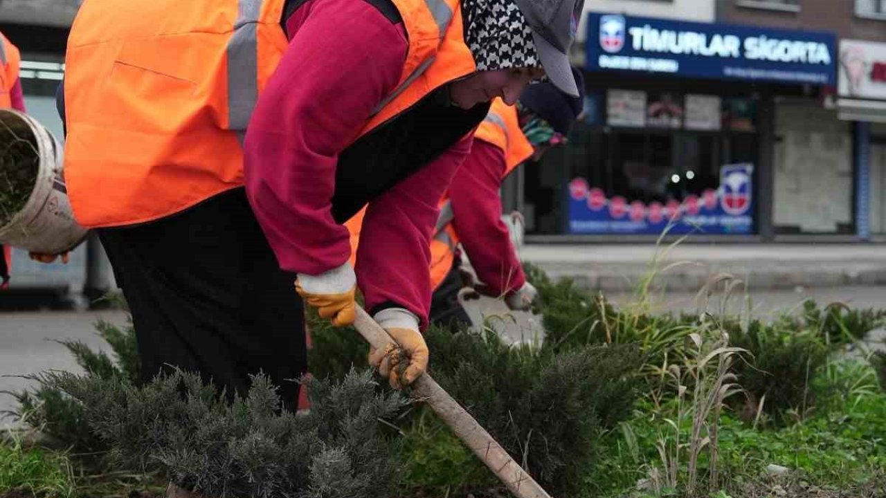 Park ve yeşil alanlarda peyzaj çalışmaları sürüyor