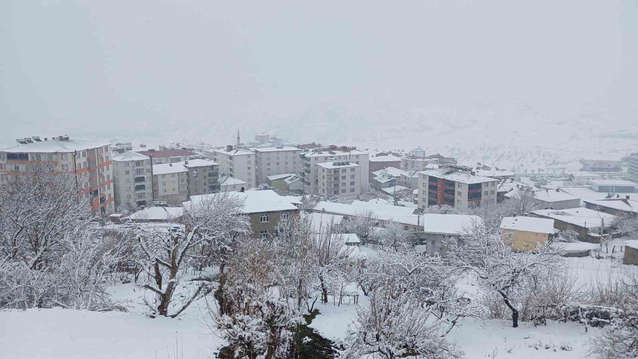Kulp’ta kar esareti: Köy yolları kapandı, ilçe trafiği kilitlendi
