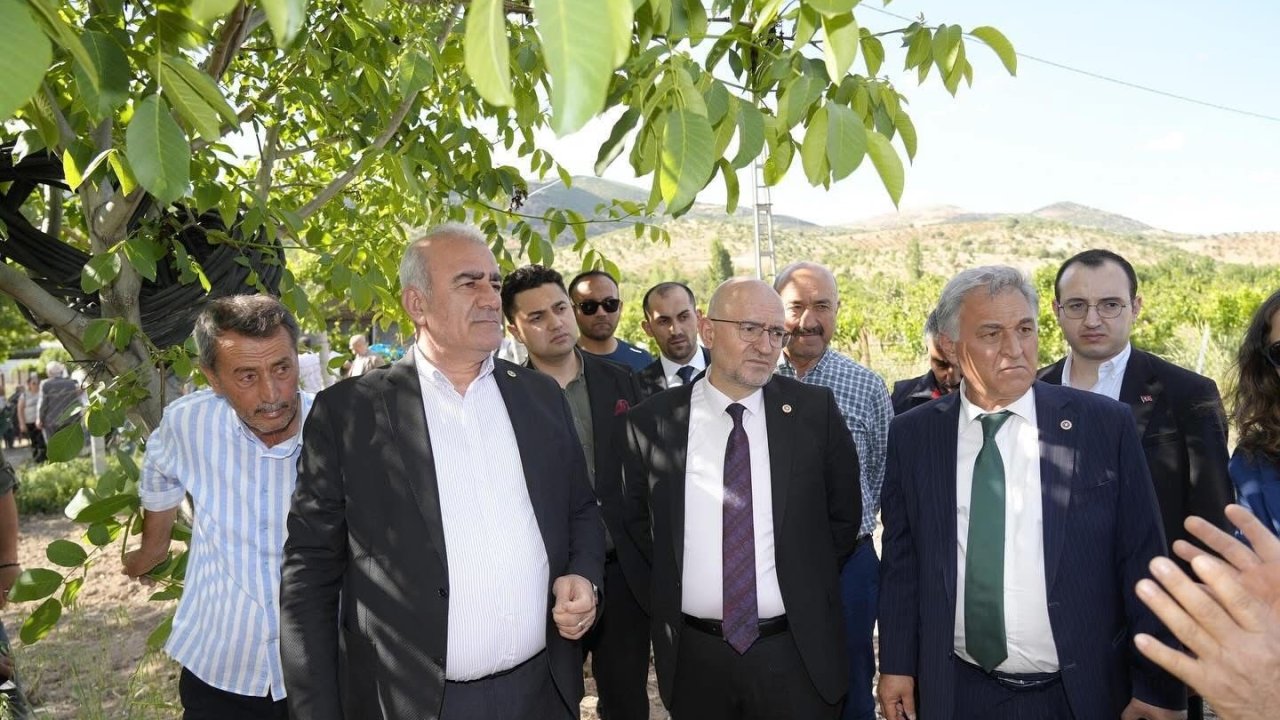 Trabzon hurması, dut ve incire destek ödemesi başladı