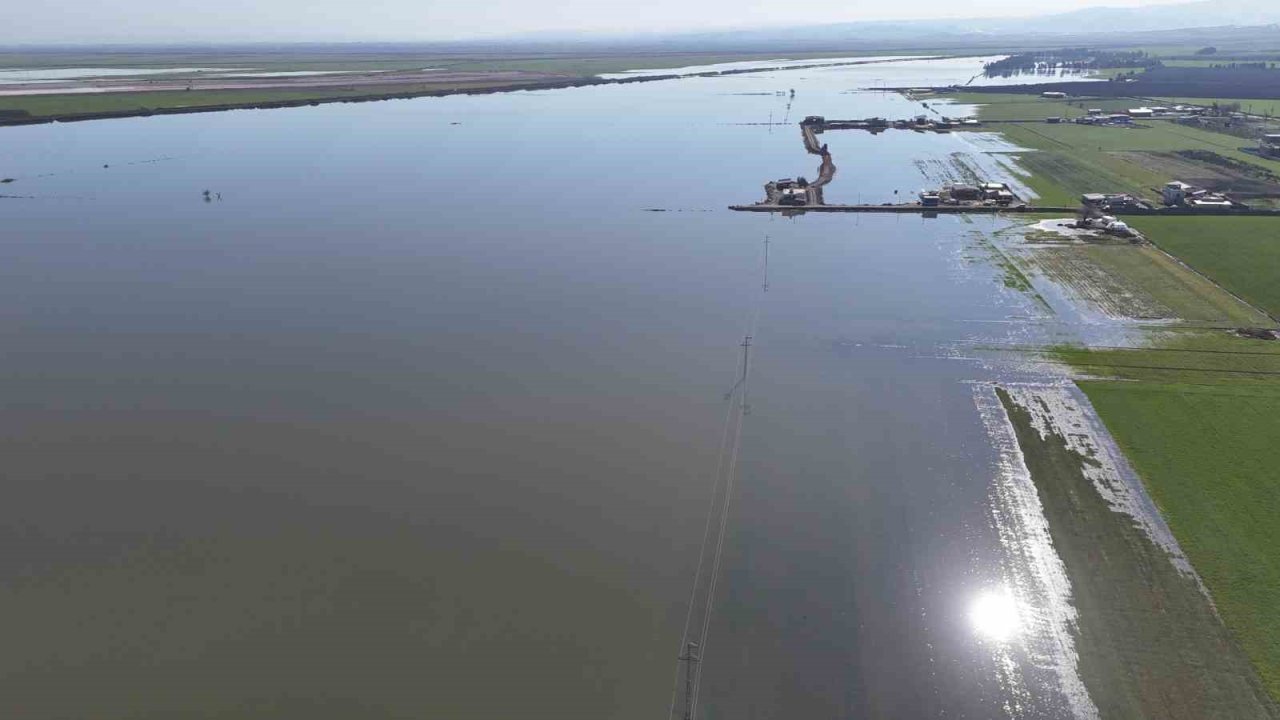 Son 65 yılın en kurak yılını geride bırakan Hatay’da etkili olan yağışla tarım arazileri su altında kaldı