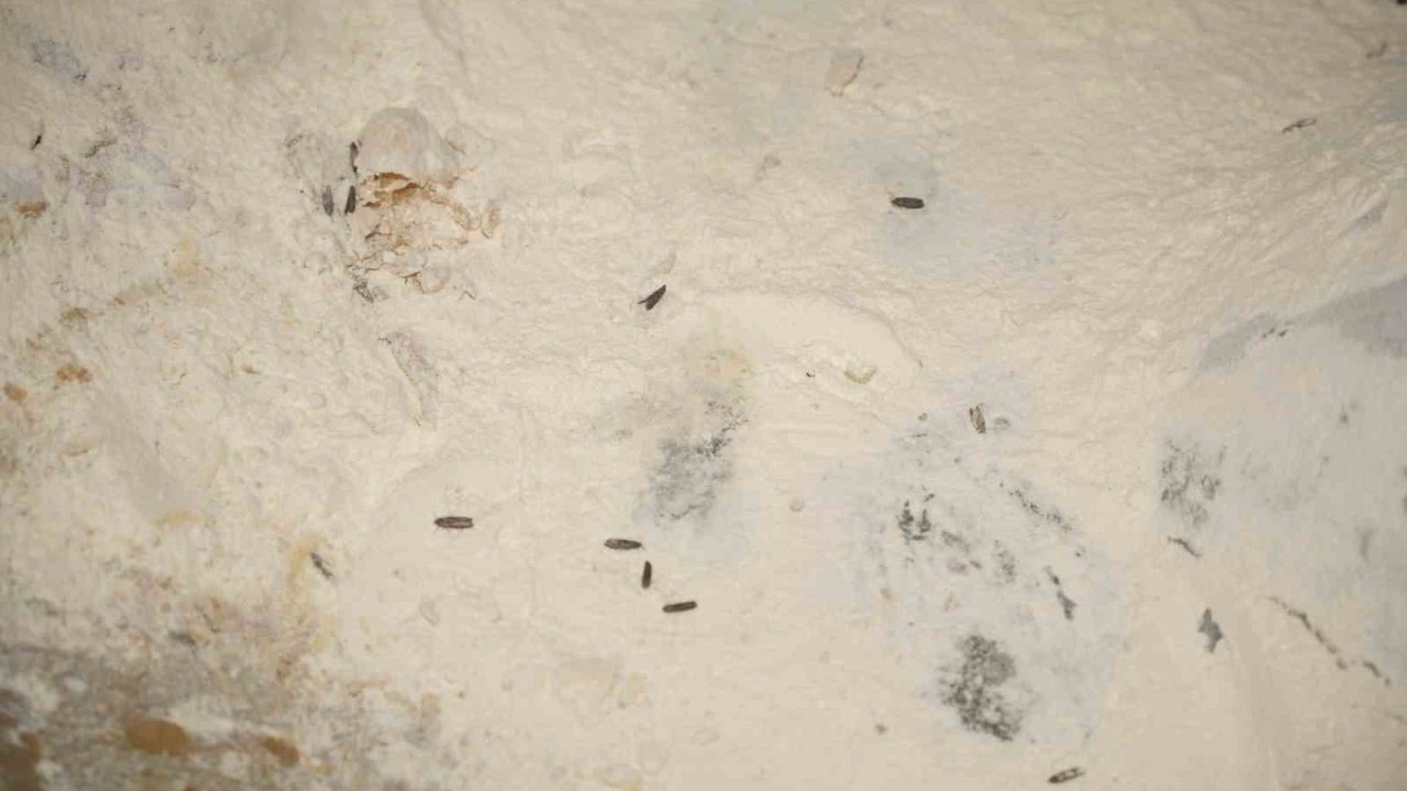 Yenişehir Belediyesi’nden YESAŞ’a hijyen cezası