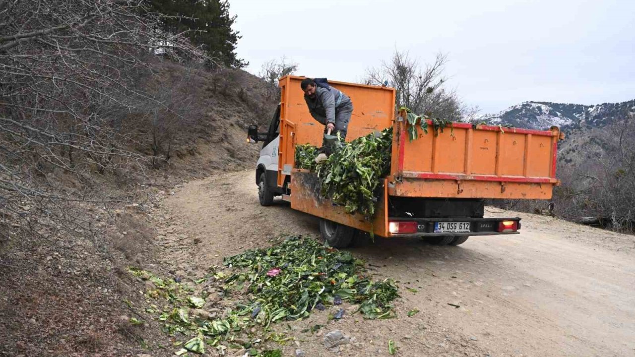 Isparta’da kışın aç kalan yaban hayvanlarına duyarlı dokunuş