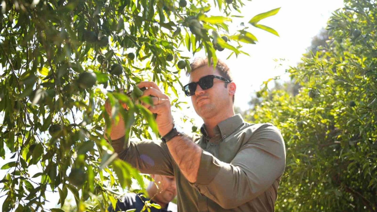 Bodrum Mandalini Türkiye’nin dört bir yanına ulaşıyor