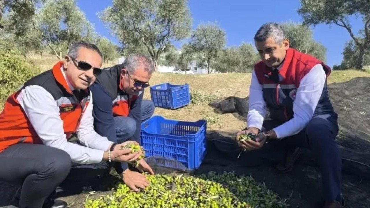 Aydın’da bir yılda 3 bini aşkın tarımsal denetim yapıldı
