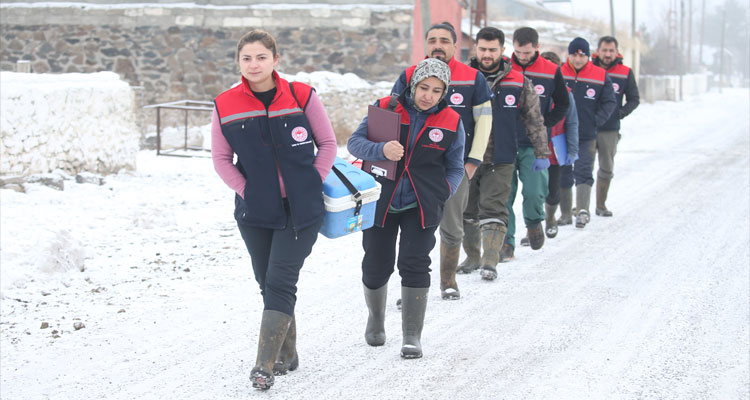 Kars’ta zorlu hava şartlarına rağmen hayvan sağlığı için mesai sürüyor