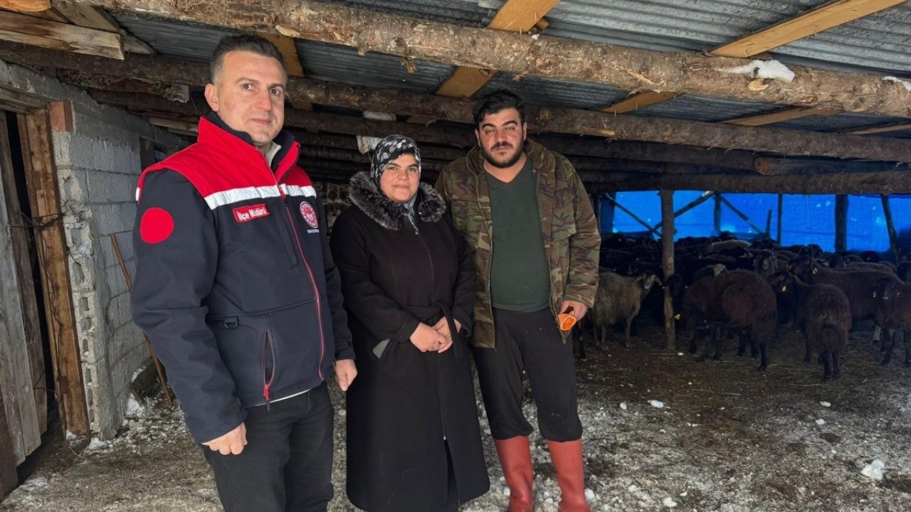 Bayburt’ta hayvancılığa yeni başlayan üreticilere destekler sürüyor