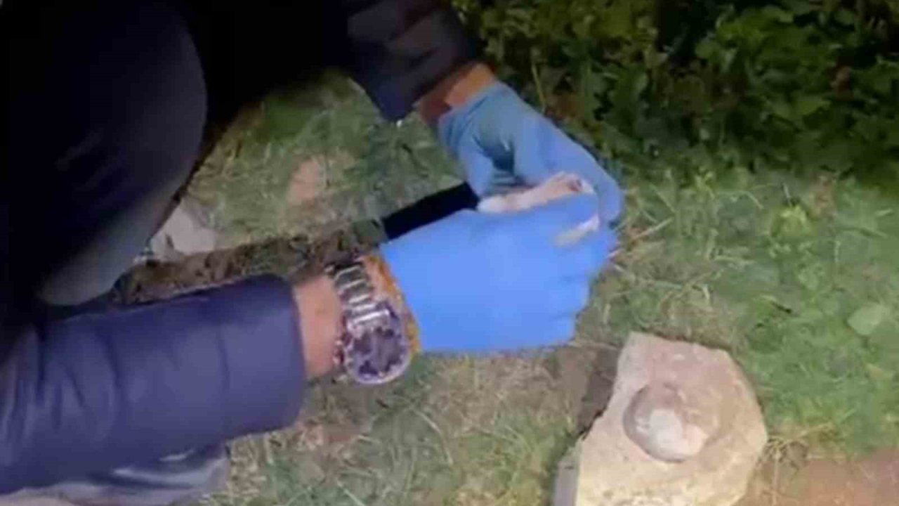 Taşın altında zulalanan satışa hazır uyuşturucu polisin dikkatiyle bulundu