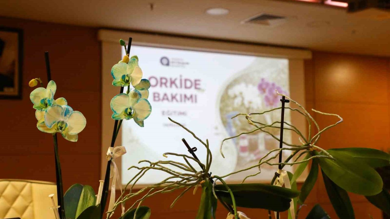 Orkide bakımı uygulamalı olarak anlatıldı