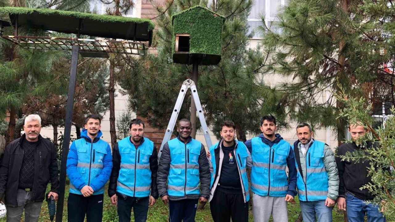 Yurt öğrencileri kuşlar için ev yaptılar