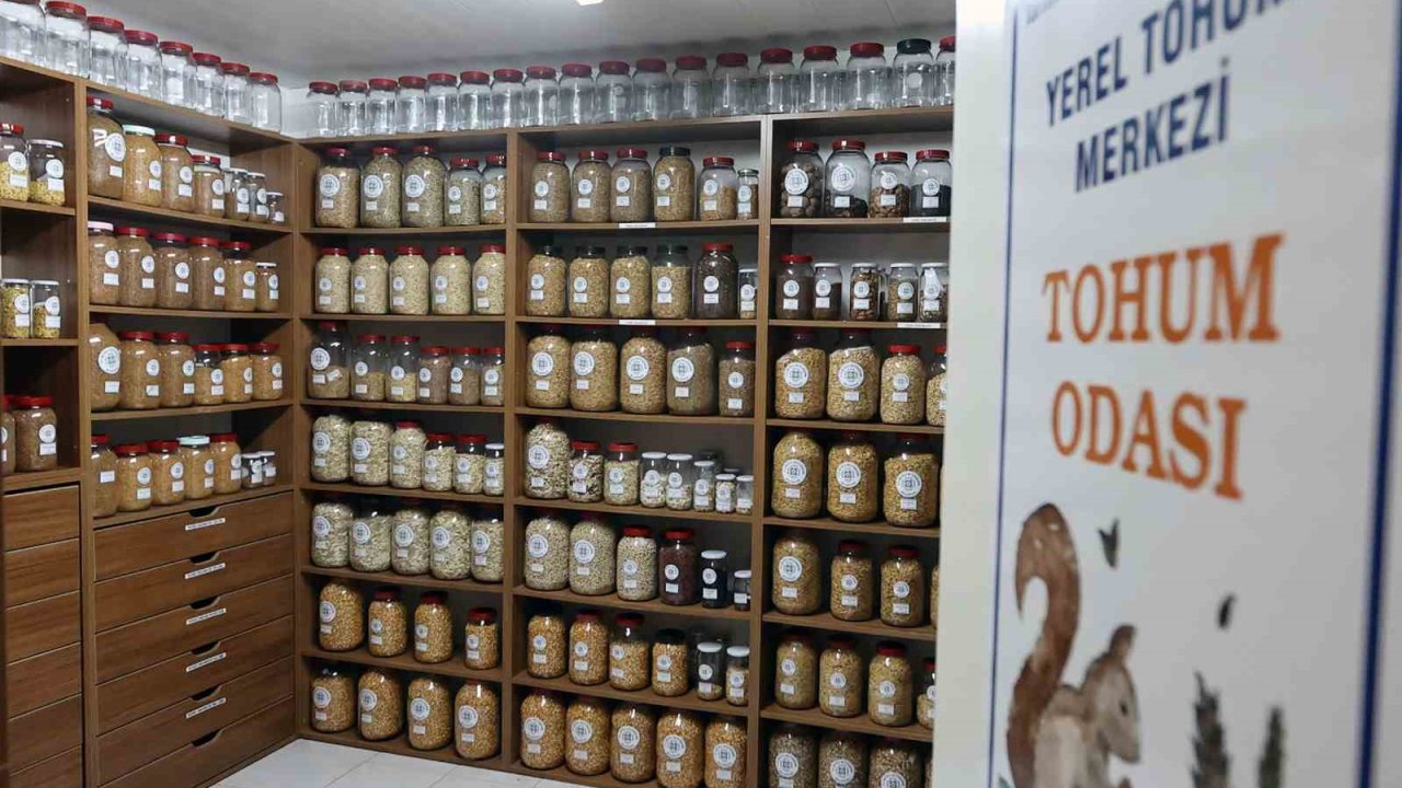 Muğla Büyükşehir 2026 yılında 3 milyon ata tohumu dağıtacak