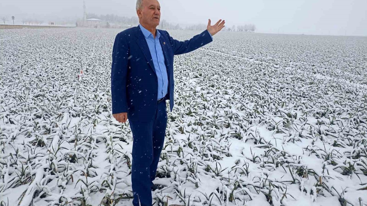 Kar yağışı sarımsak üreticisinin yüzünü güldürecek