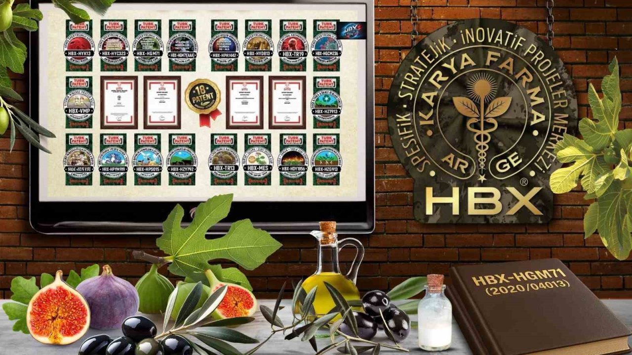Karya Farma HBX Ar-Ge; ’İncir ve Zeytin Bilimsel Araştırmalar Akademisi’ kuracak