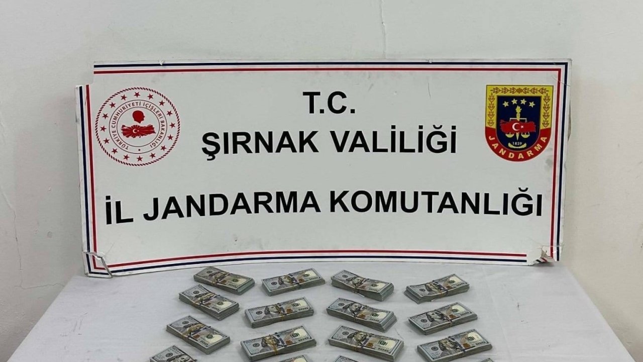 Şırnak’ta jandarma ekiplerinden kaçakçılığa darbe