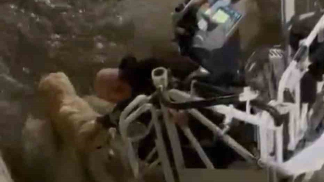 Karabük’te su kanalına düşen köpeği itfaiye kurtardı