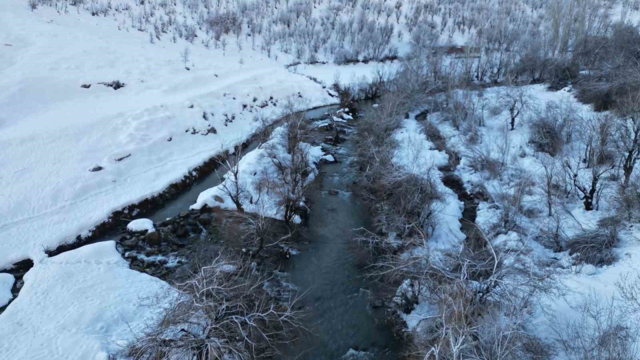 Şırnak’ta dereler buz tuttu