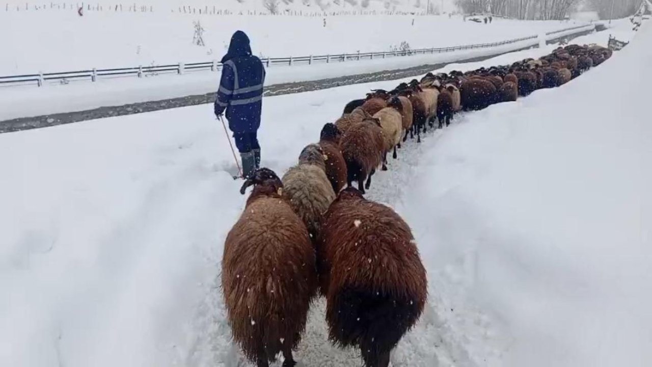 Karlıova’da besicilerin zorlu kış mesaisi