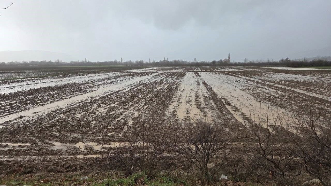 Menteşe’de tarım arazileri için ekipler sahaya indi
