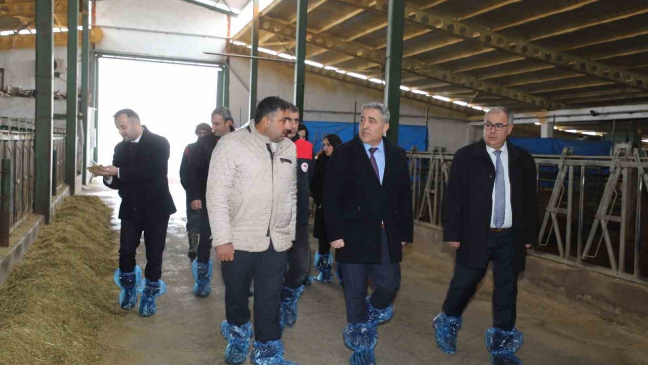 Elazığ’da hayvancılık altyapısı yerinde incelendi