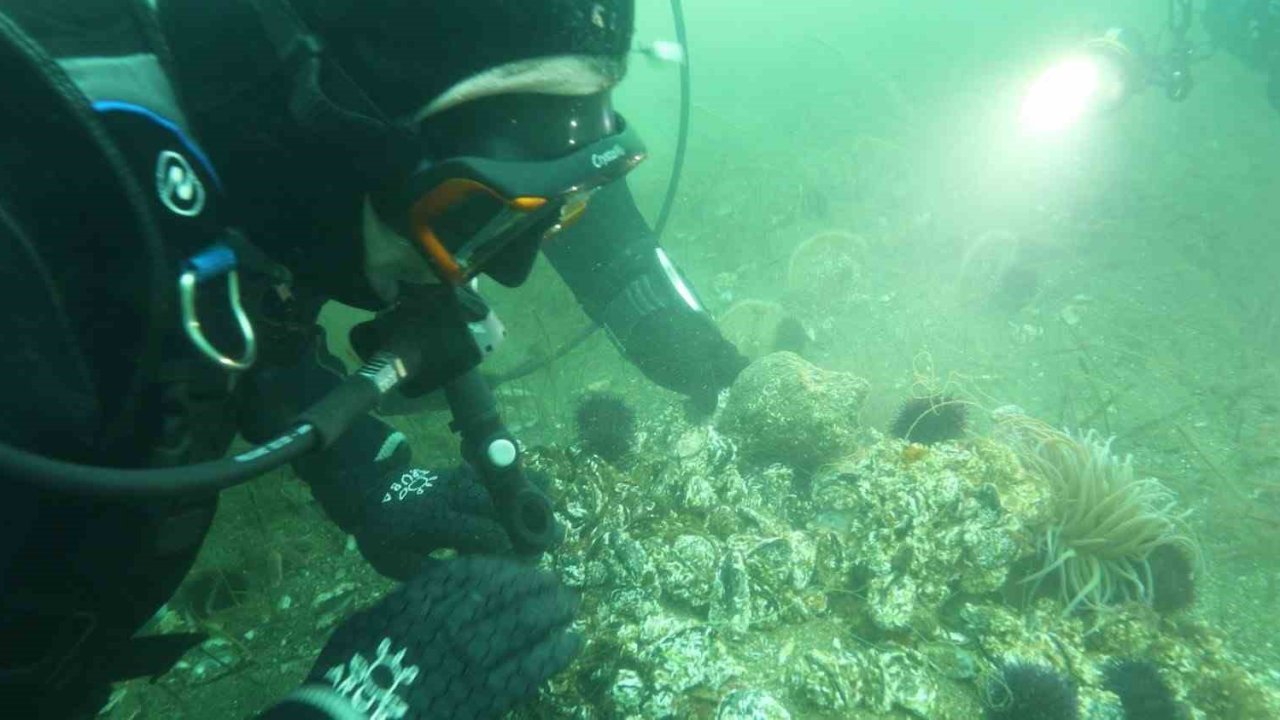 Marmara Denizi’ne kıyı kentlerin Belediye Başkanlarına dalış çağrı