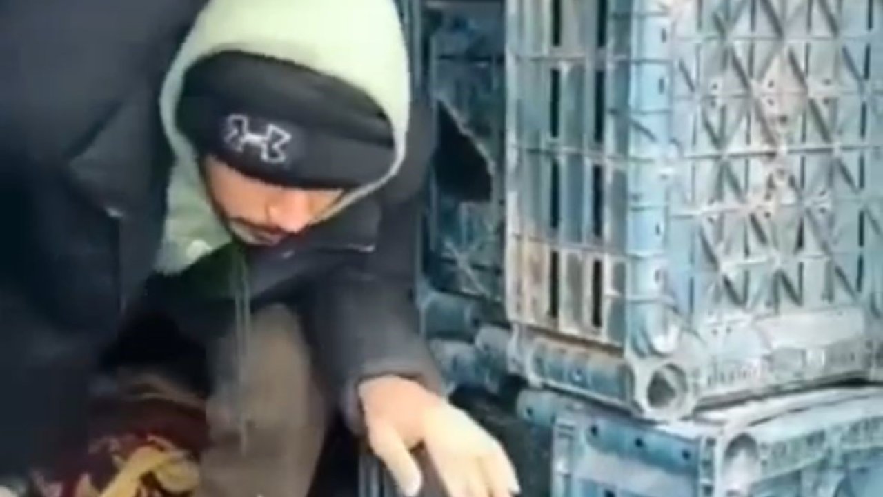 Düzce’de 13 düzensiz göçmen yakalandı