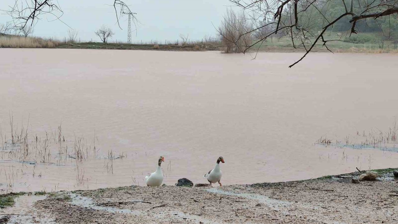 Kuruyan Sülüklü Göl yeniden canlandı