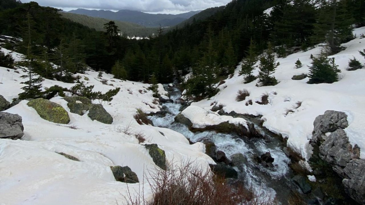 Eriyen kar ve yağmur suları su kaynaklarını coşturdu
