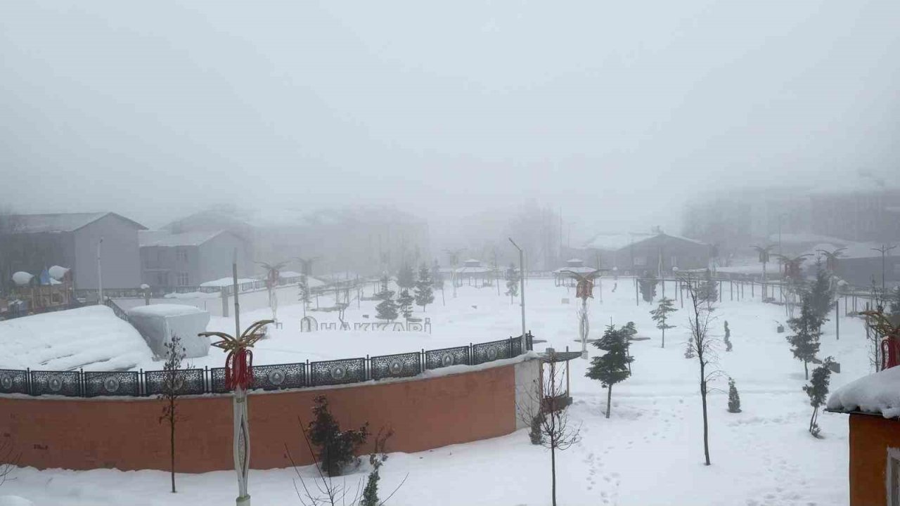 Hakkari’de karla karışık yağmur ve sis etkili oldu