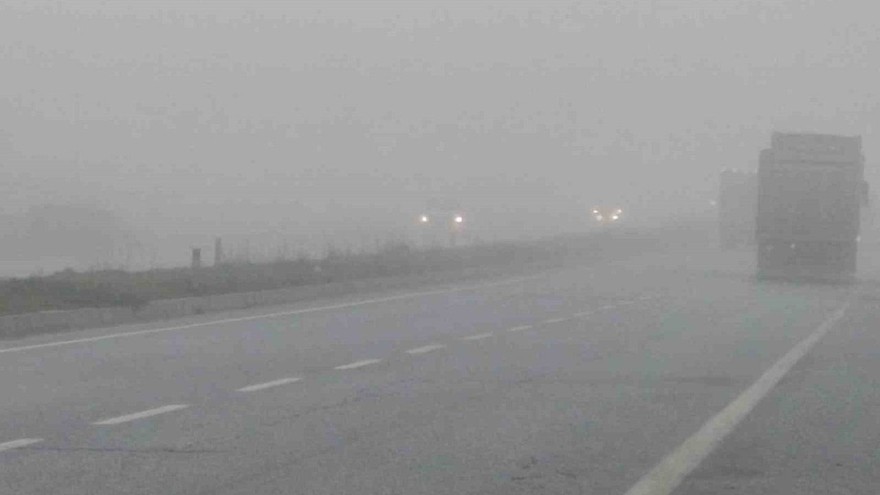 Aydın’da sis sürücülere zor anlar yaşatıyor