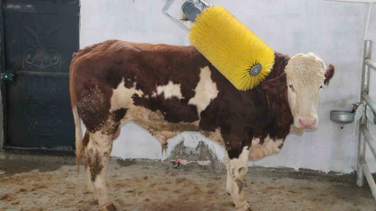 IPARD III ile Erzincan tarımına 178 milyon TL’lik yatırım desteği