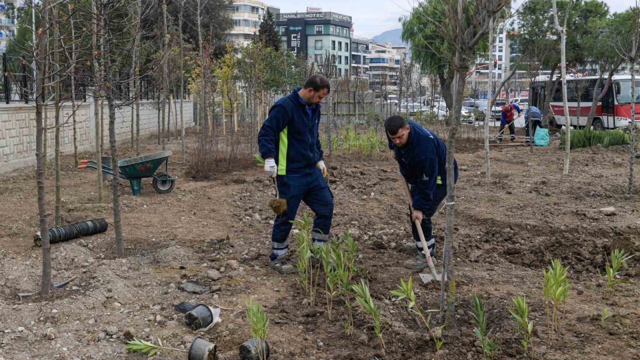 İzmir’de atıl alanlar mini ormana dönüşüyor