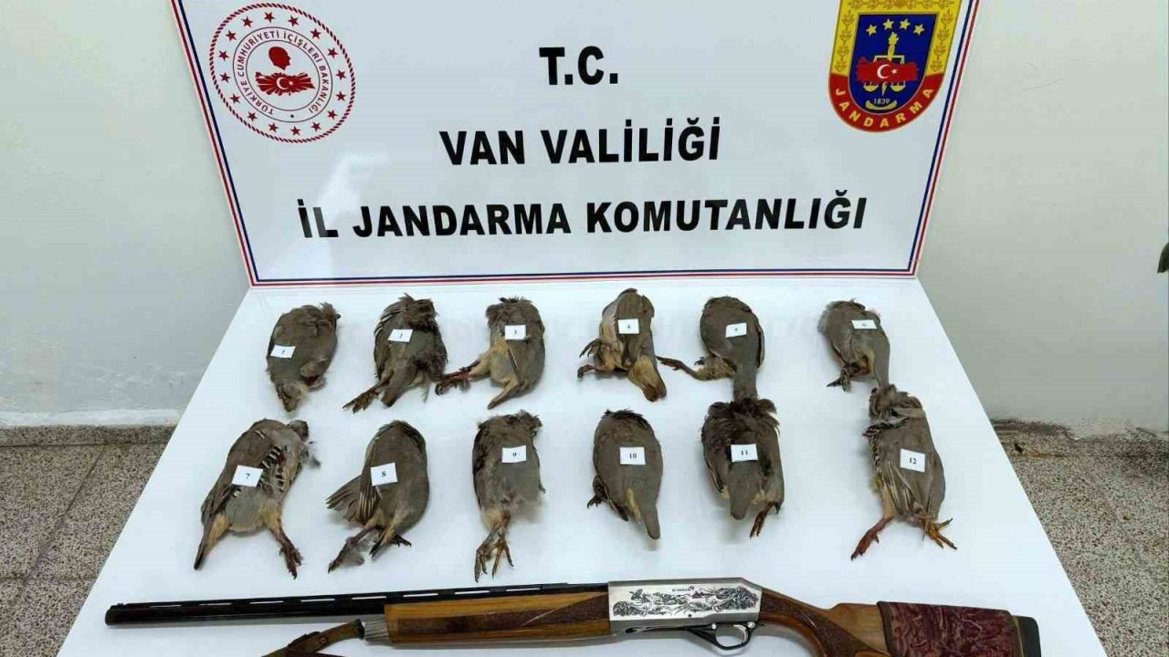 Van’da keklik avlayan kişiye 81 bin TL ceza