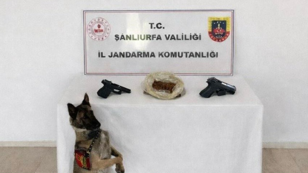 Eyyübiye’de uyuşturucu operasyonu: 1 tutuklama